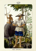 Indio Labrador by Jose Honorato Lozano