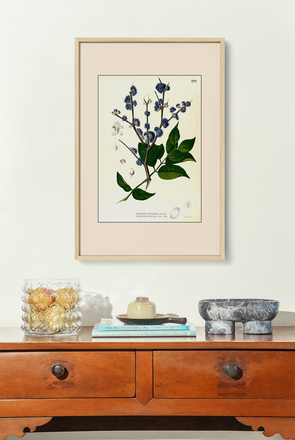 Memecylon Edule - Filipino Botanical Illustration