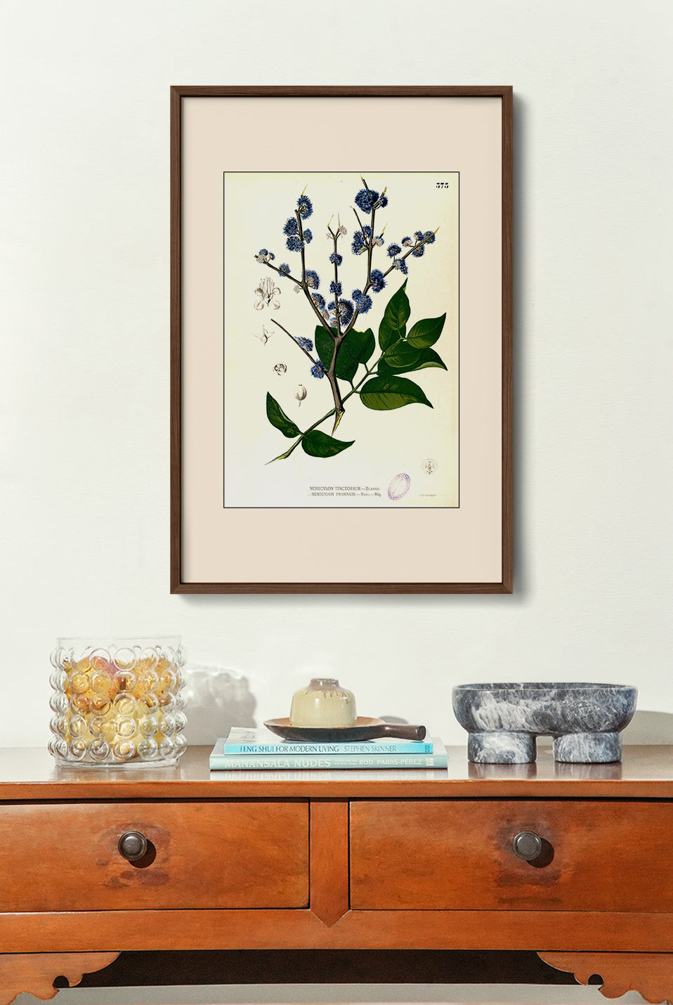 Memecylon Edule - Filipino Botanical Illustration
