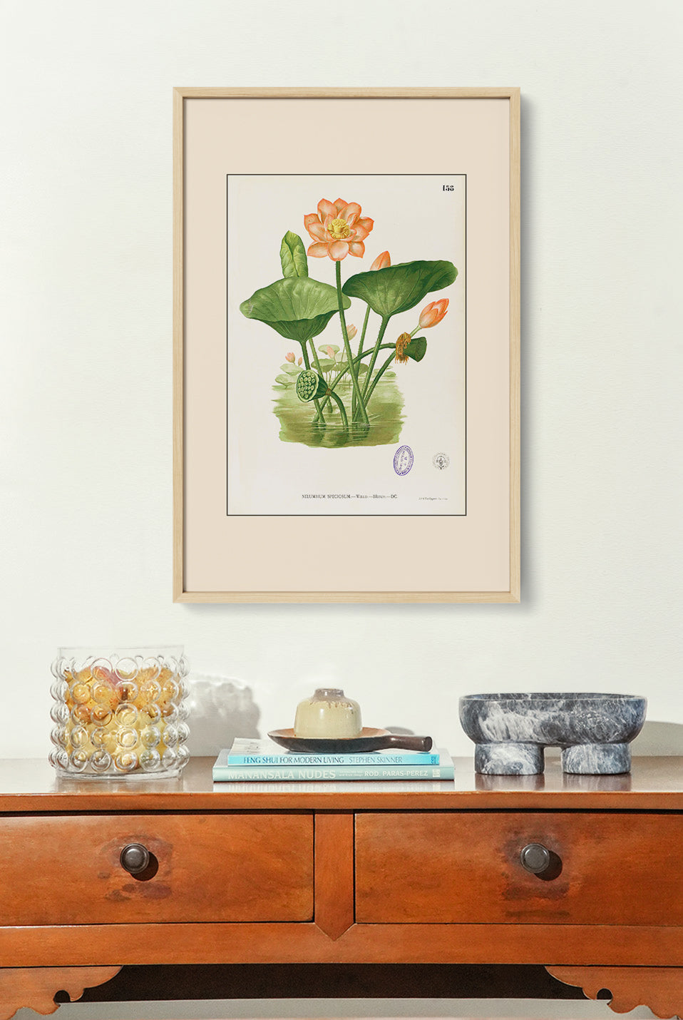 Nelumbo Nucifera - Filipino Botanical Illustration