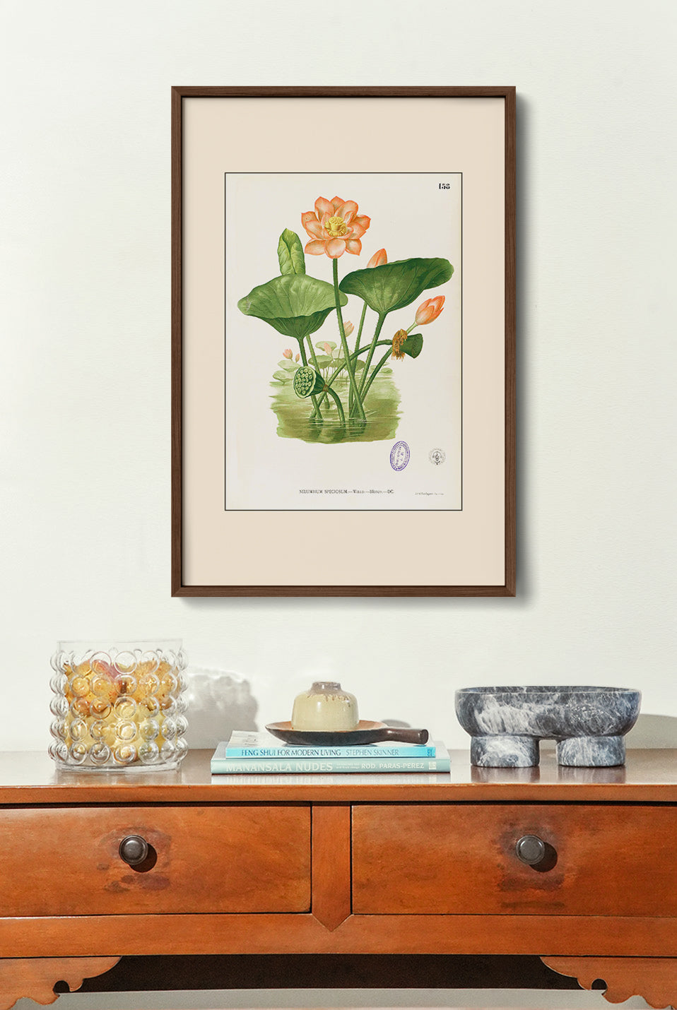 Nelumbo Nucifera - Filipino Botanical Illustration