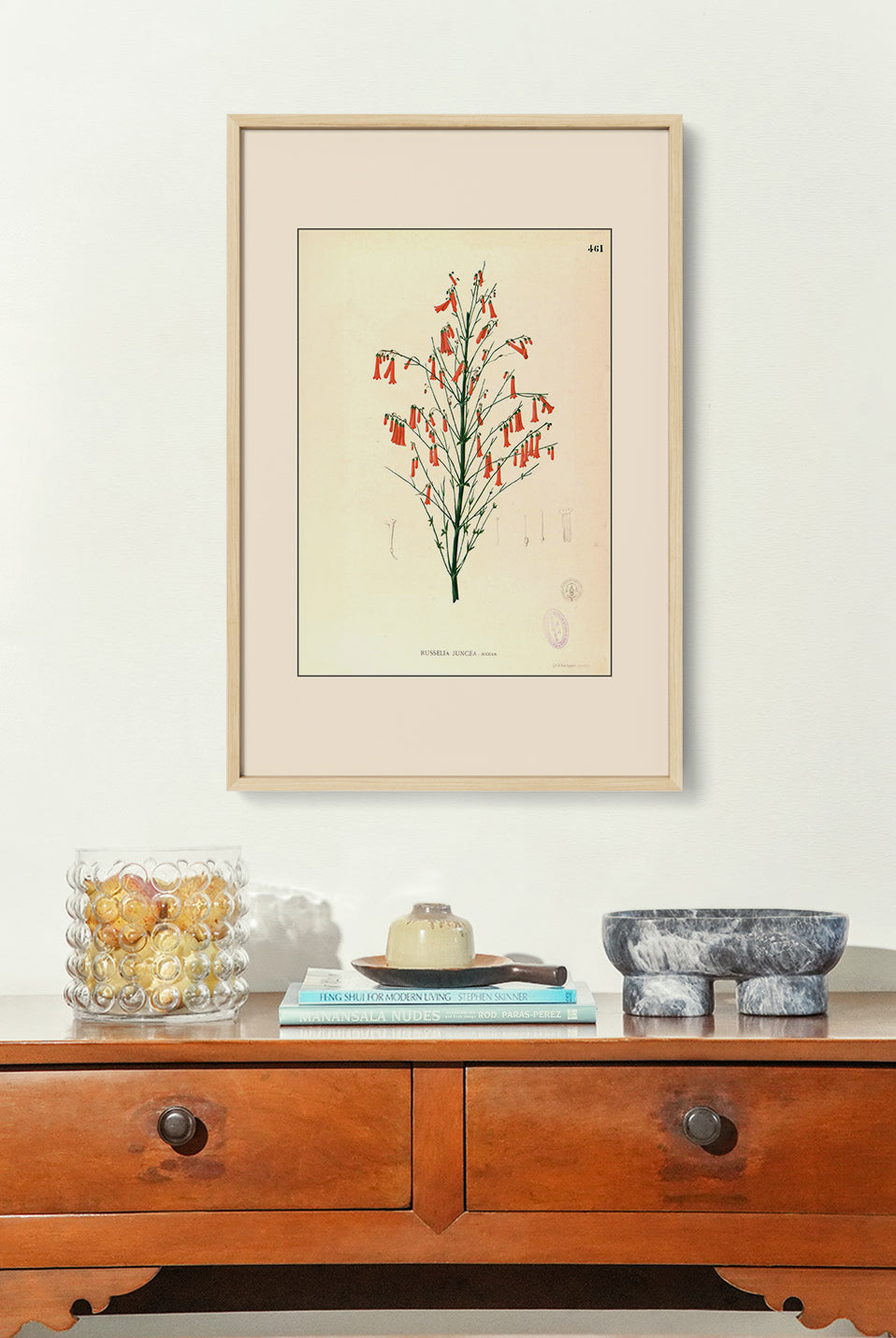Russelia Juncea - Filipino Botanical Illustration