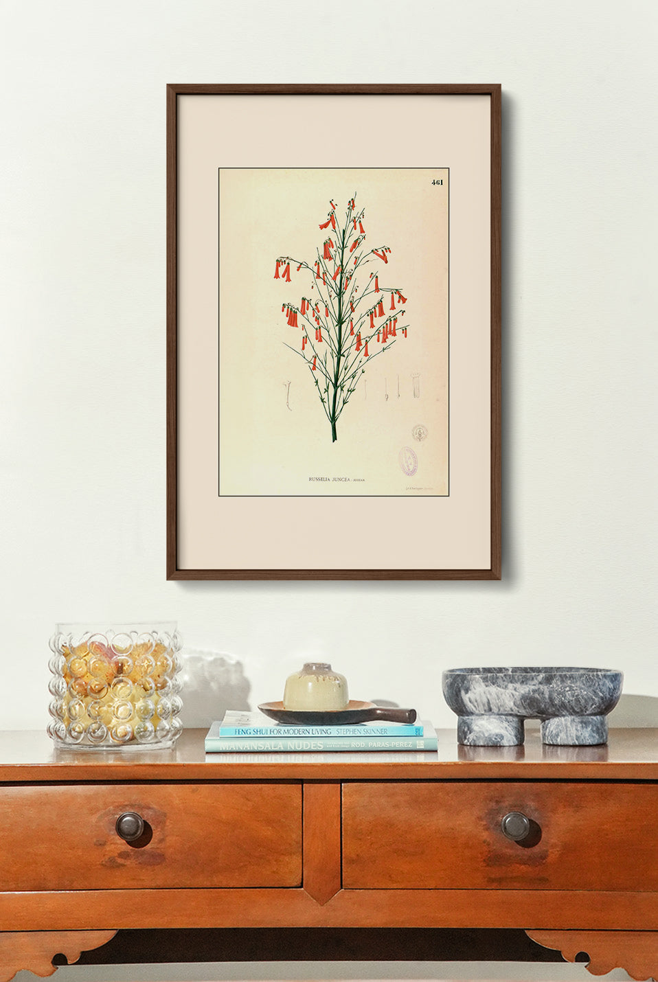 Russelia Juncea - Filipino Botanical Illustration