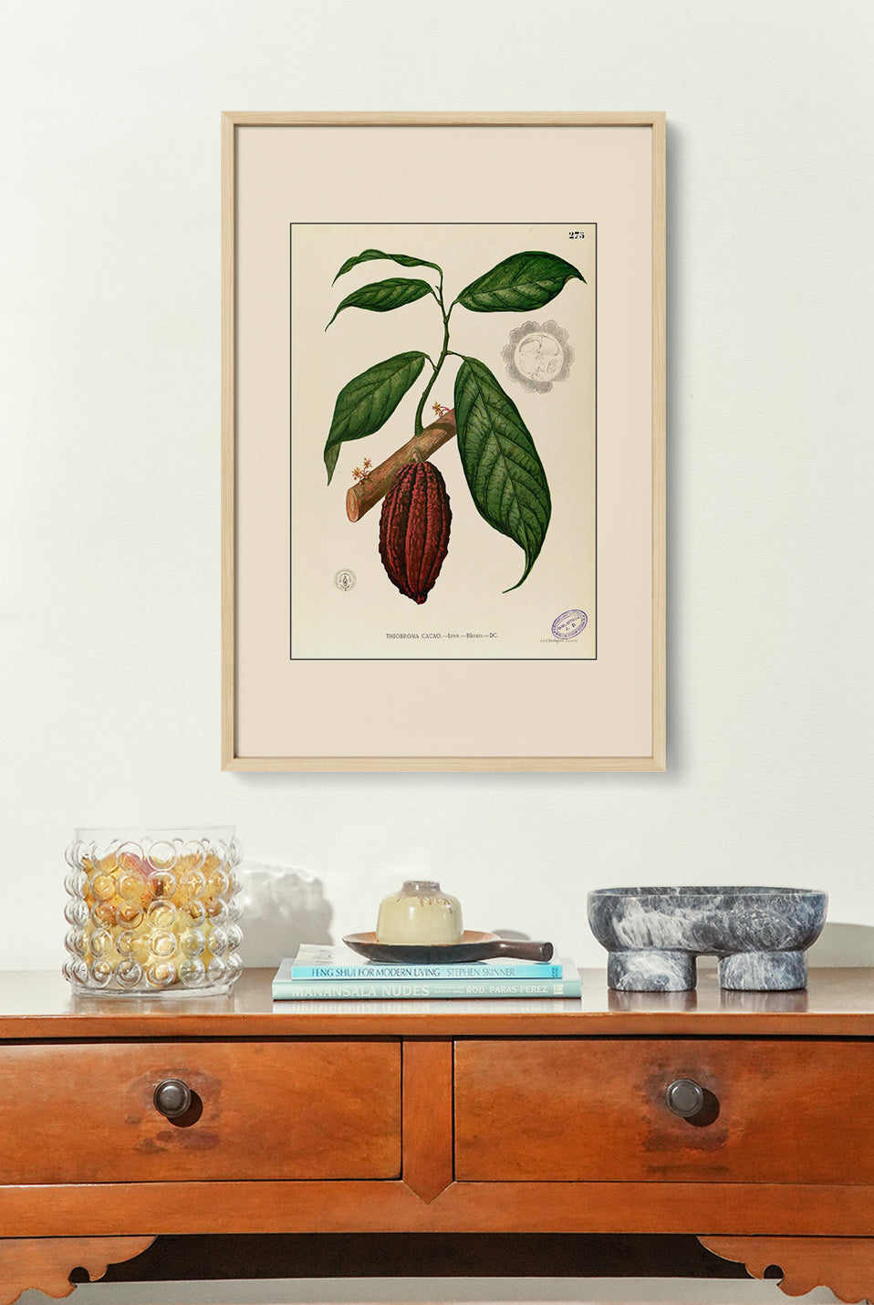 Theobroma Cacao - Filipino Botanical Illustration