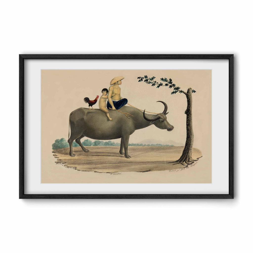 El Carabao, 1855 by José Honorato Lozano