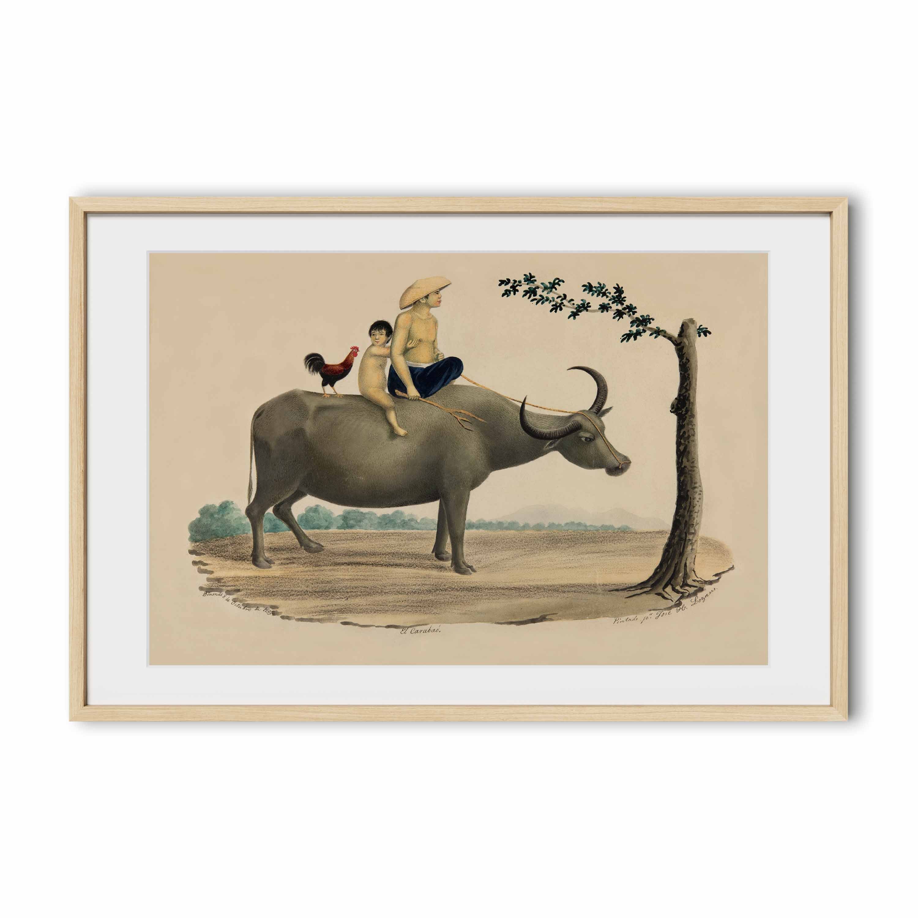 El Carabao, 1855 by José Honorato Lozano