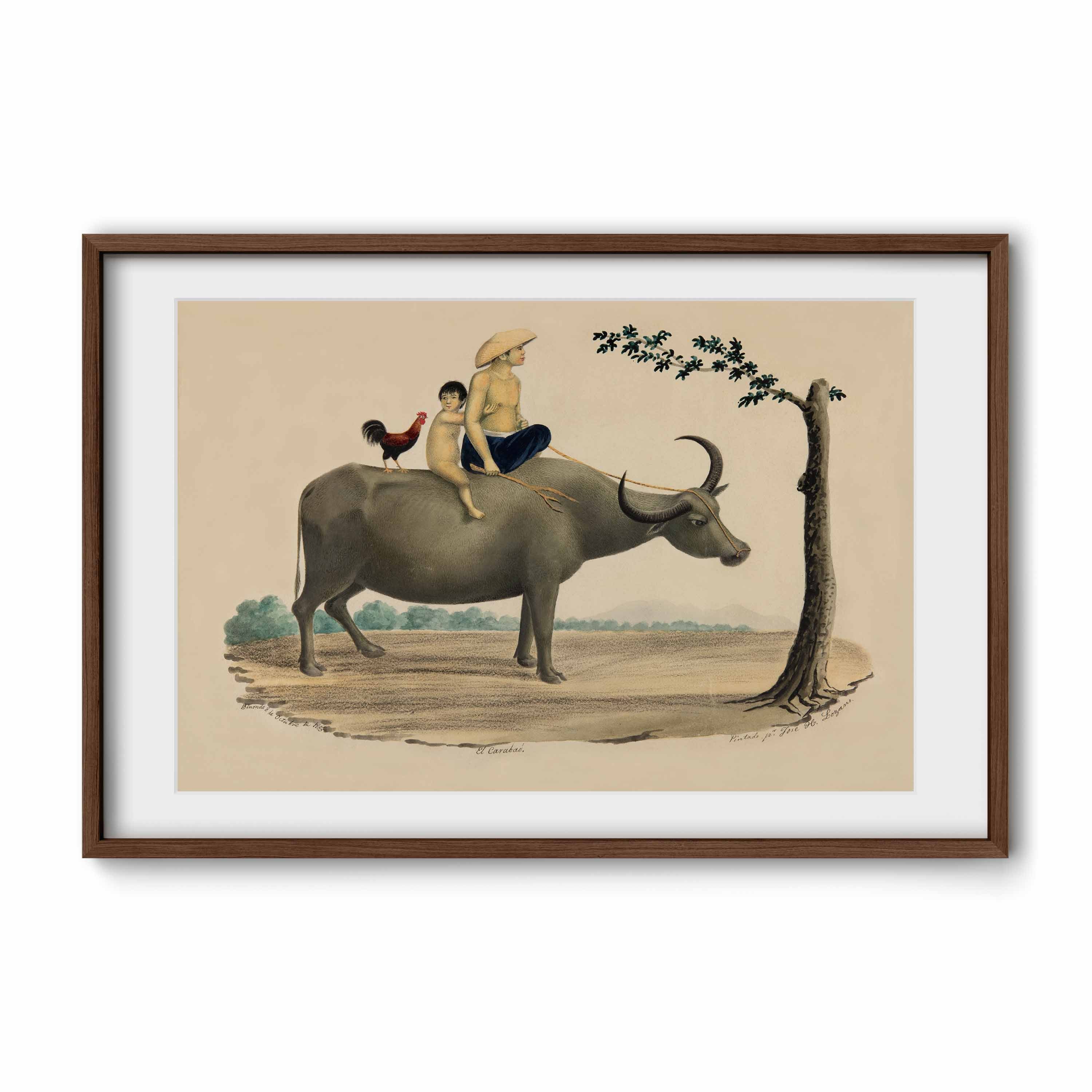 El Carabao, 1855 by José Honorato Lozano