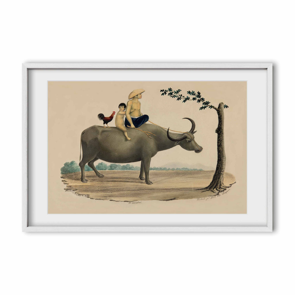 El Carabao, 1855 by José Honorato Lozano