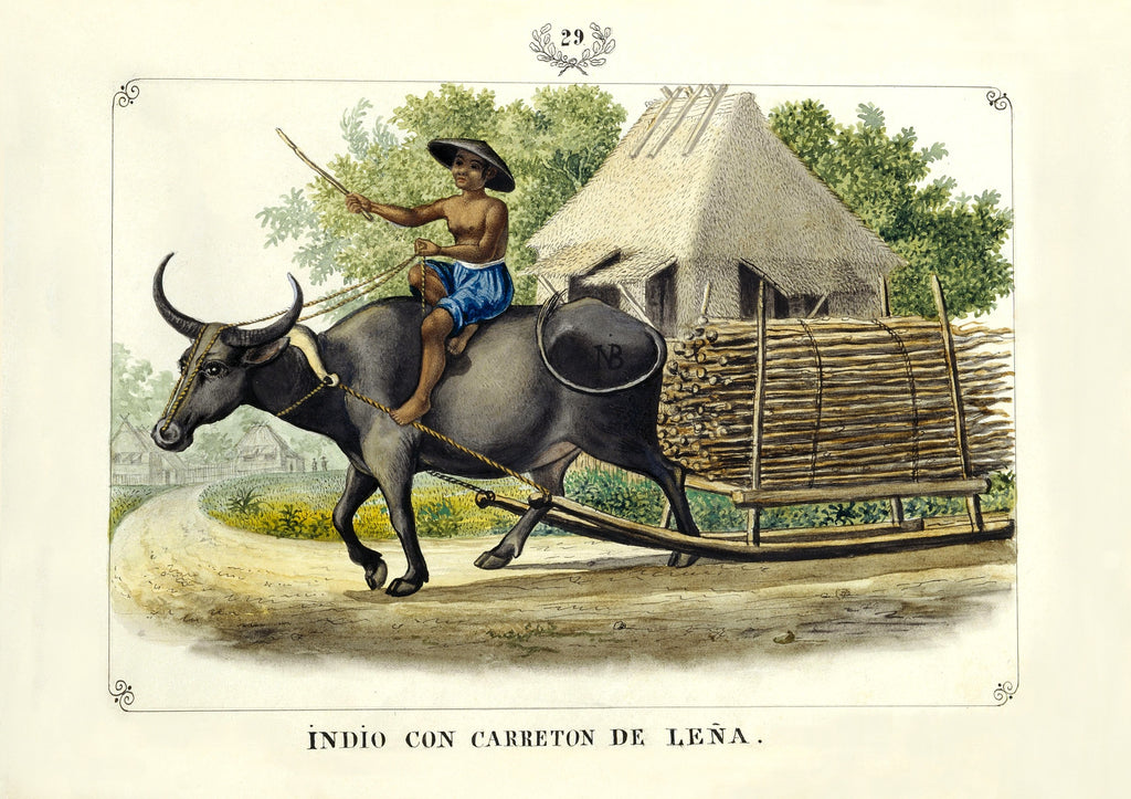 Indio con Carretón de Leña, 1847 by José Honorato Lozano