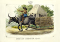 Indio con Carretón de Leña, 1847 by José Honorato Lozano