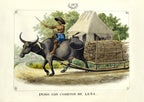 Indio con Carretón de Leña, 1847 by José Honorato Lozano
