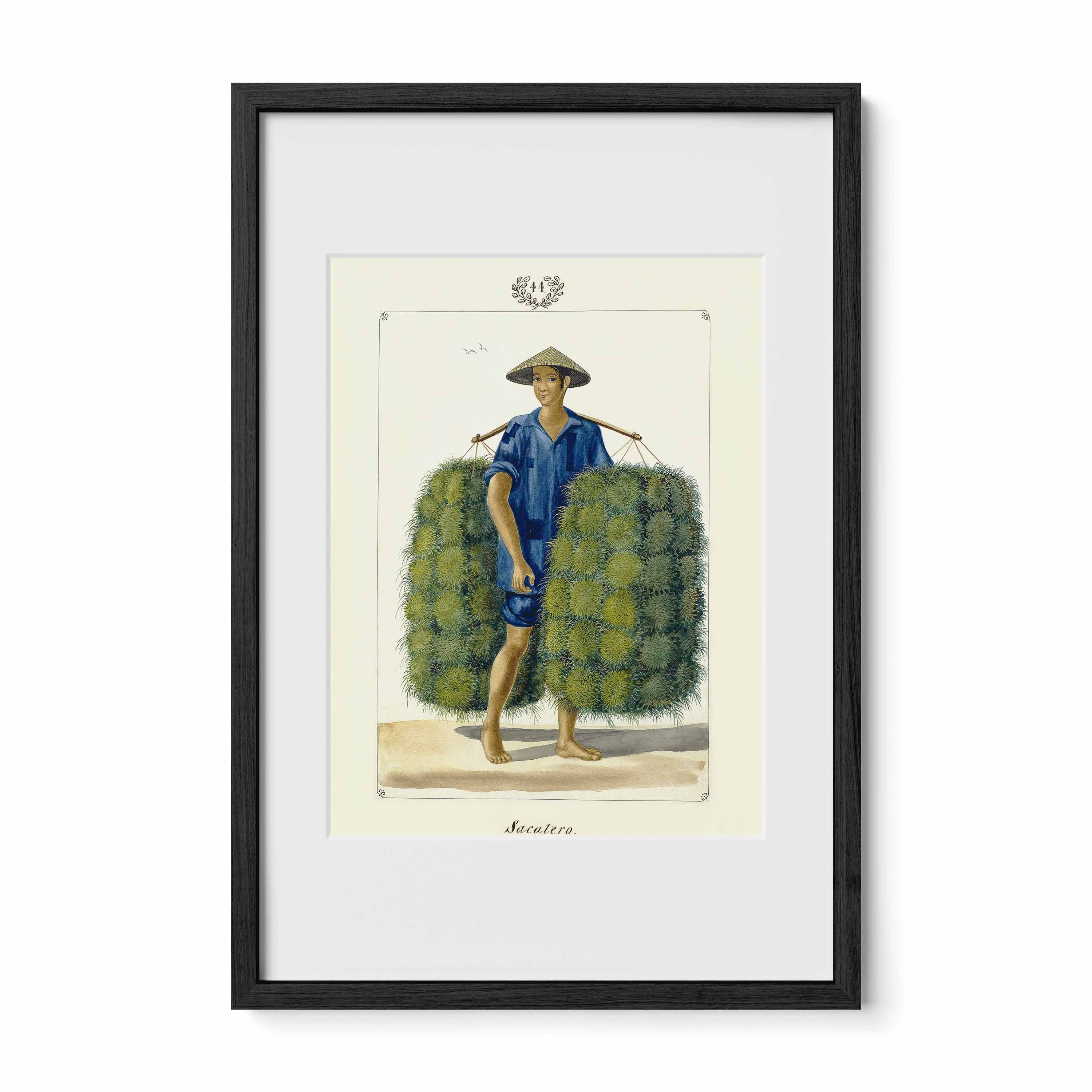 Sacatero [sic], 1847 by José Honorato Lozano