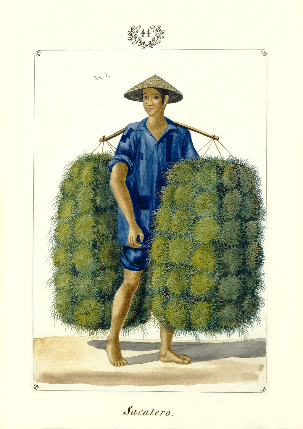 Sacatero [sic], 1847 by José Honorato Lozano
