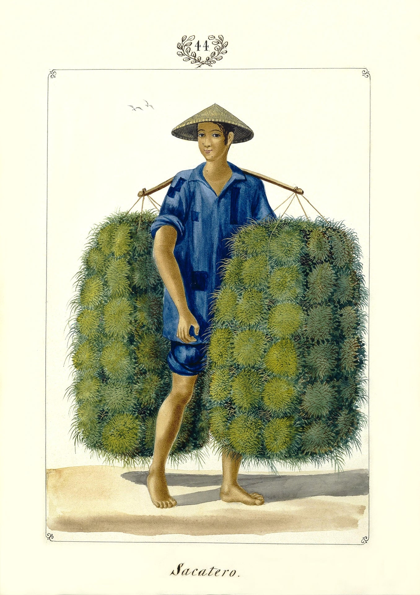 Sacatero [sic], 1847 by José Honorato Lozano