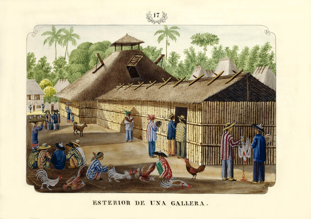 Esterior de una Gallera, 1847 by José Honorato Lozano